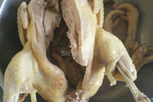鱿鱼炖鸡的做法图解4