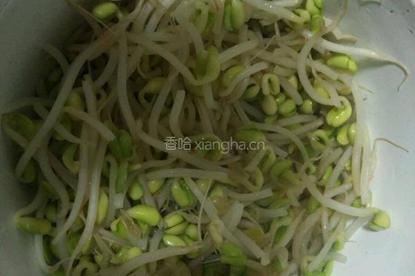 黄豆芽炒粉的做法图解2