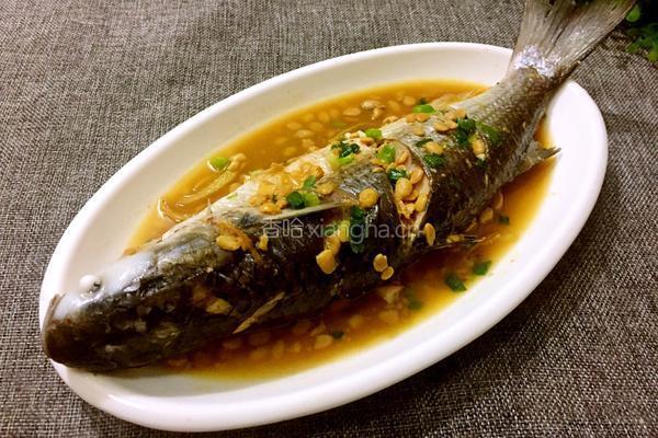 豆酱焖黑鱼的做法图解8