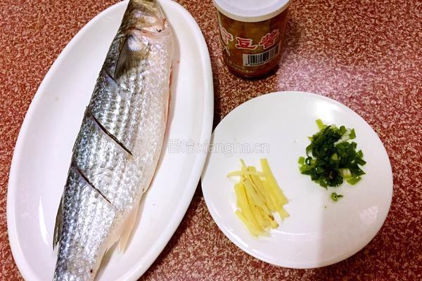豆酱焖黑鱼的做法图解1