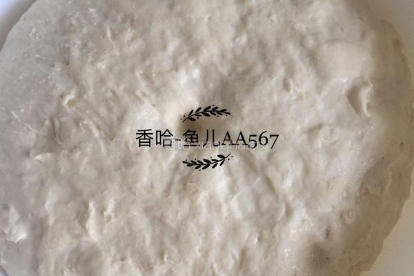 发面油饼的做法图解6