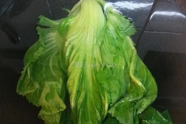 酸菜的做法图解2