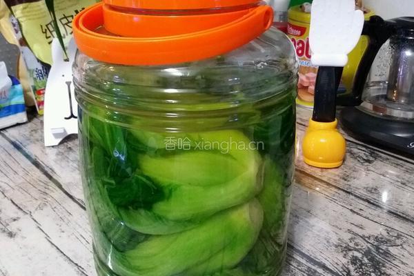 酸菜的做法图解4