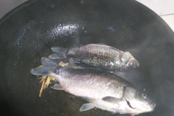 鲫鱼豆腐汤的做法图解4