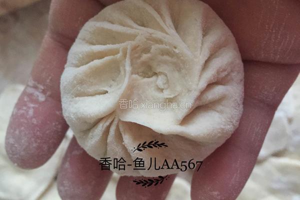 牛肉胡萝卜木耳包子的做法图解16