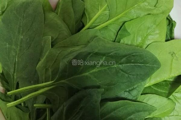 西红柿菠菜面拌面的做法图解1