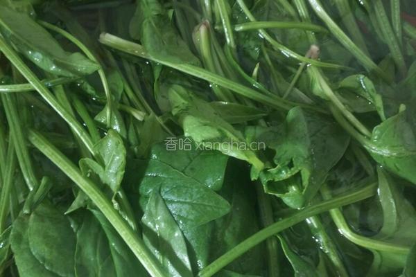 菠菜包子的做法图解3