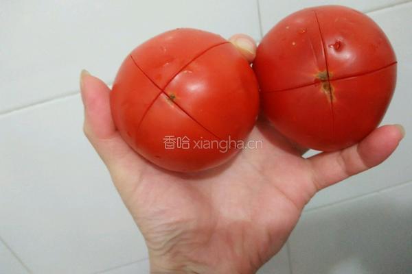 番茄焖鱼的做法图解1