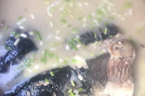 鱼头豆腐汤的做法图解5