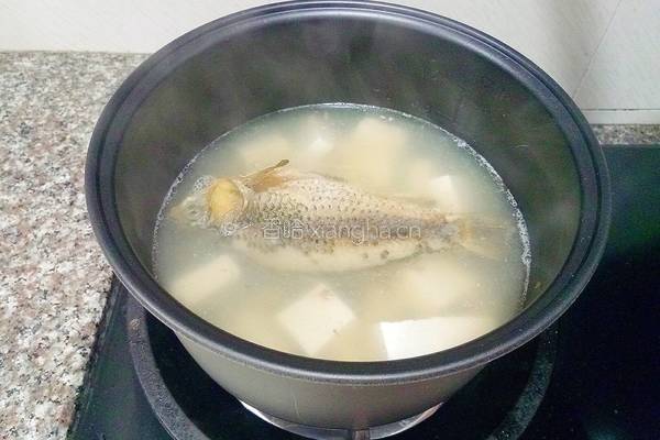 鲫鱼豆腐海鲜菇汤的做法图解15