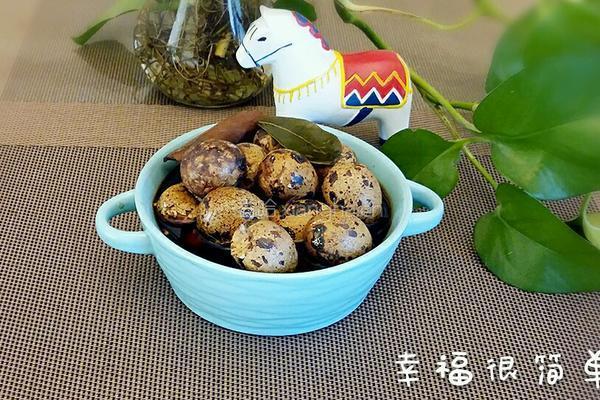养生壶五香茶叶鹌鹑蛋的做法图解6