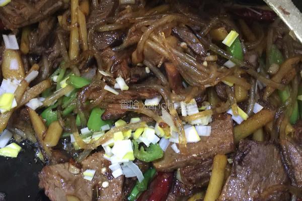驴肉盖米饭(陕北名吃)的做法图解12
