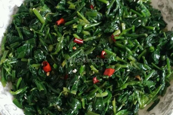 凉拌菠菜的做法图解6