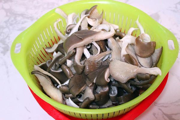 孜然平菇的做法图解1