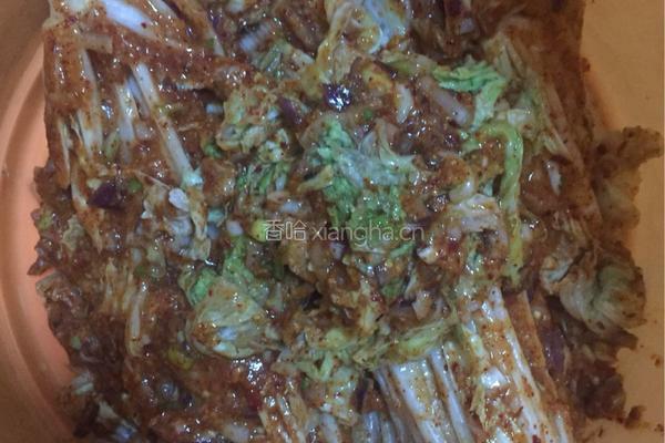 自制辣白菜的做法图解9