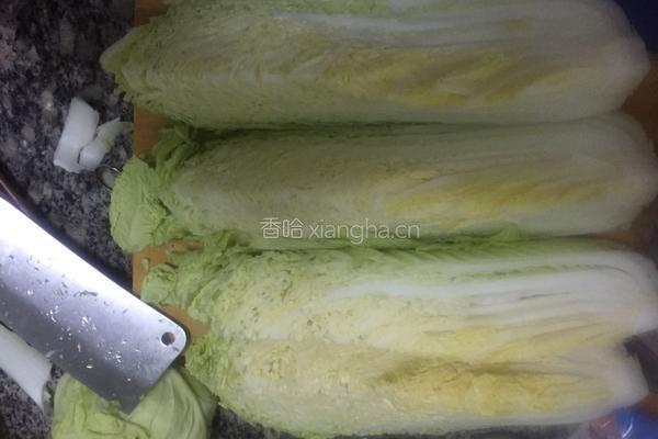 自制辣白菜的做法图解1