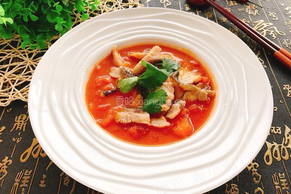 番茄黑鱼汤的做法图解14