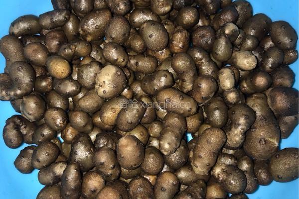 挂霜山药豆的做法图解1