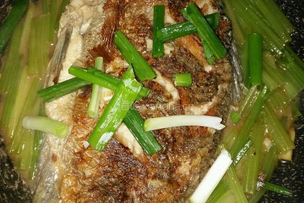 芹菜烧鱼的做法图解6