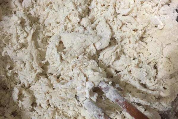 羊肉大葱饺子的做法图解1