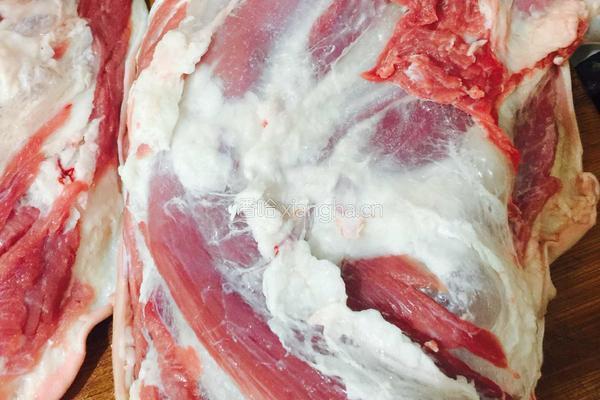 羊肉大葱饺子的做法图解3