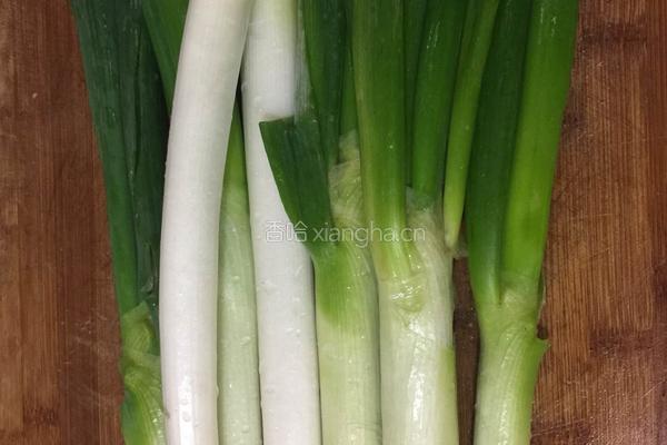 羊肉大葱饺子的做法图解5