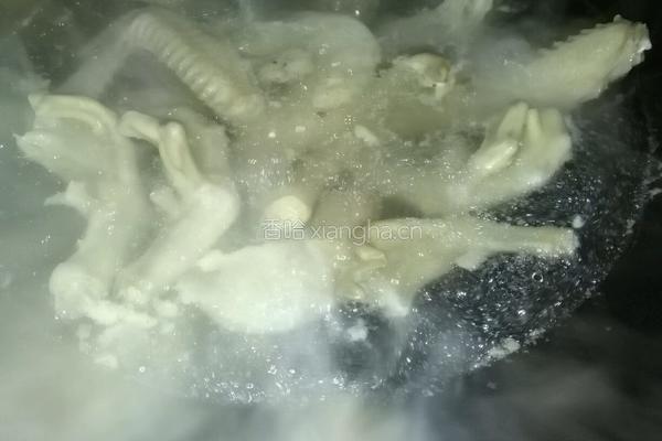 掌翅煲的做法图解3
