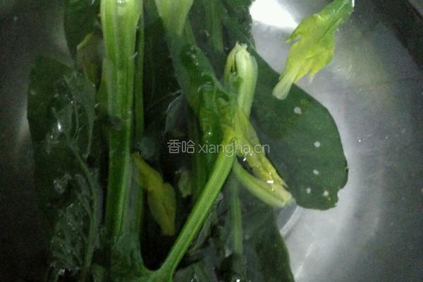 什锦豆腐卷的做法图解3