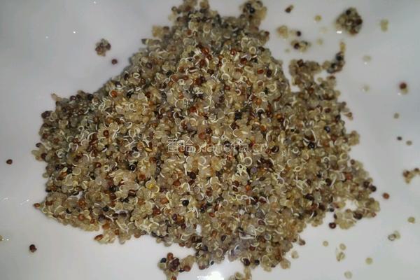 藜麦蔬菜沙拉的做法图解4