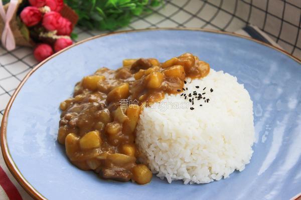 咖喱牛肉饭的做法图解13