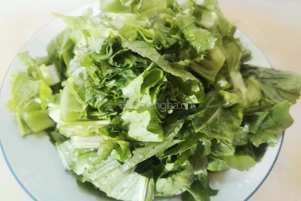 芥菜饭的做法图解2