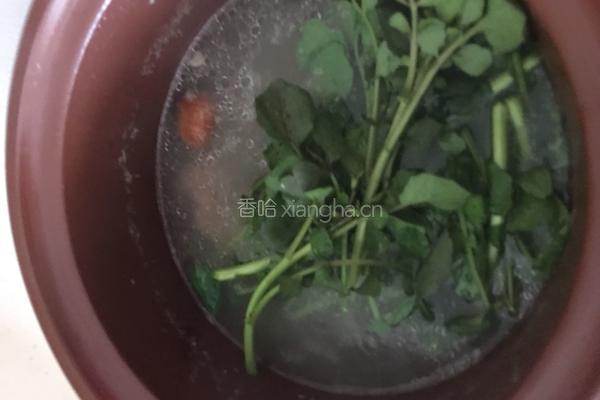 西洋菜陈肾扇骨汤的做法图解7