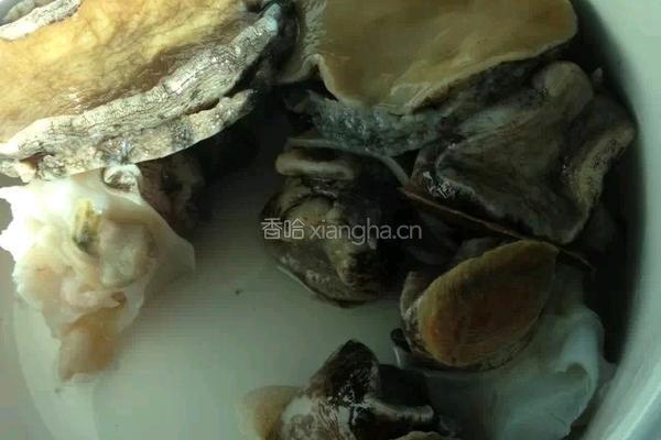 鲍鱼海螺饺子的做法图解1