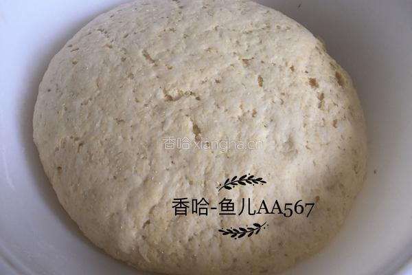 玉米面馒头的做法图解6