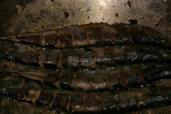 香煎秋刀鱼的做法图解3