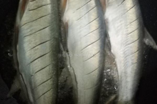 红烧习子鱼的做法图解4