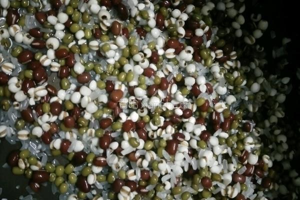 四宝粥（大米薏米绿豆红豆）的做法图解1