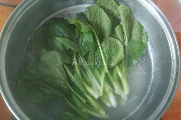 自制瘦肉青菜汤面的做法图解7