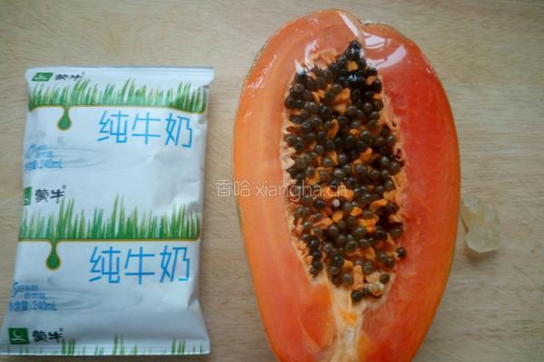 木瓜炖牛奶的做法图解1