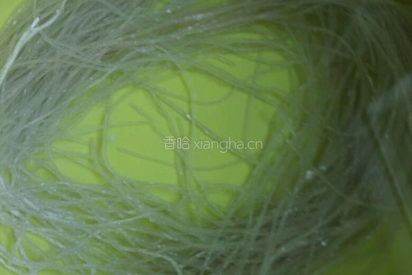 白菜炒粉丝的做法图解4