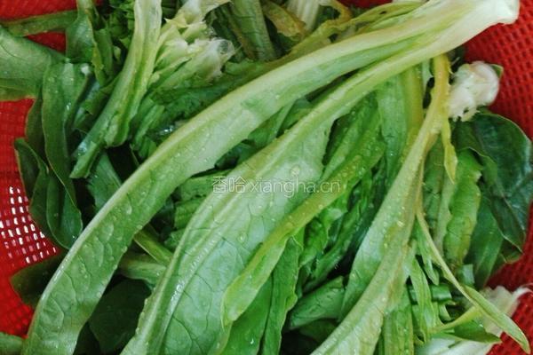 蒜味豆豉炒油麦菜的做法图解1