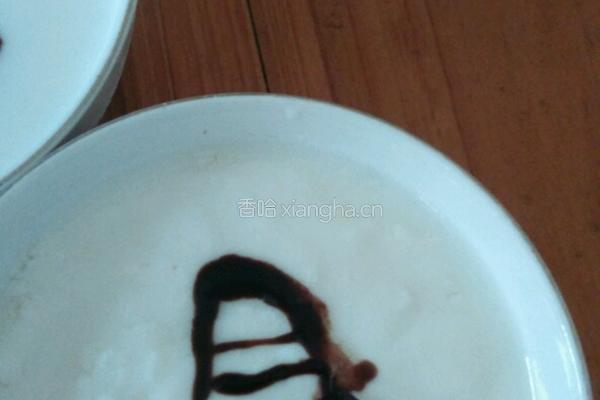 巧克力酸奶的做法图解13