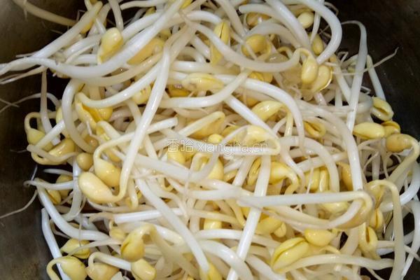 猪血豆腐汤的做法图解4