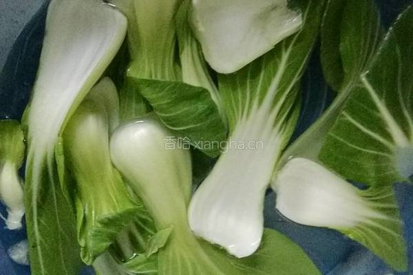 映日荷花油菜的做法图解2