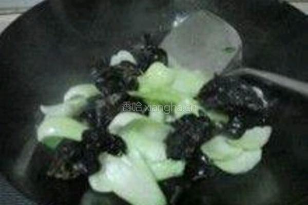 映日荷花油菜的做法图解8