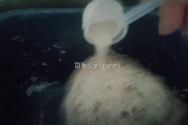 红枣全麦欧包的做法图解4