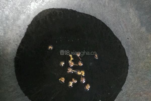 白菜粉条豆腐泡的做法图解1