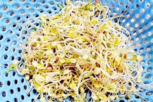 清炒绿豆芽的做法图解1