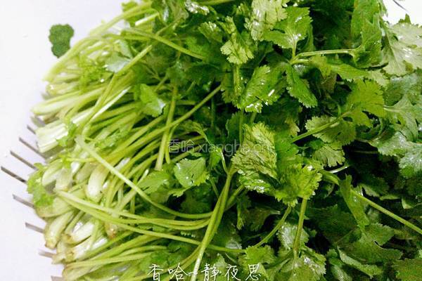 自创春卷的做法图解2