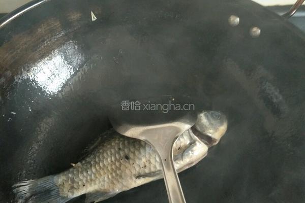 鲫鱼汤的做法图解3